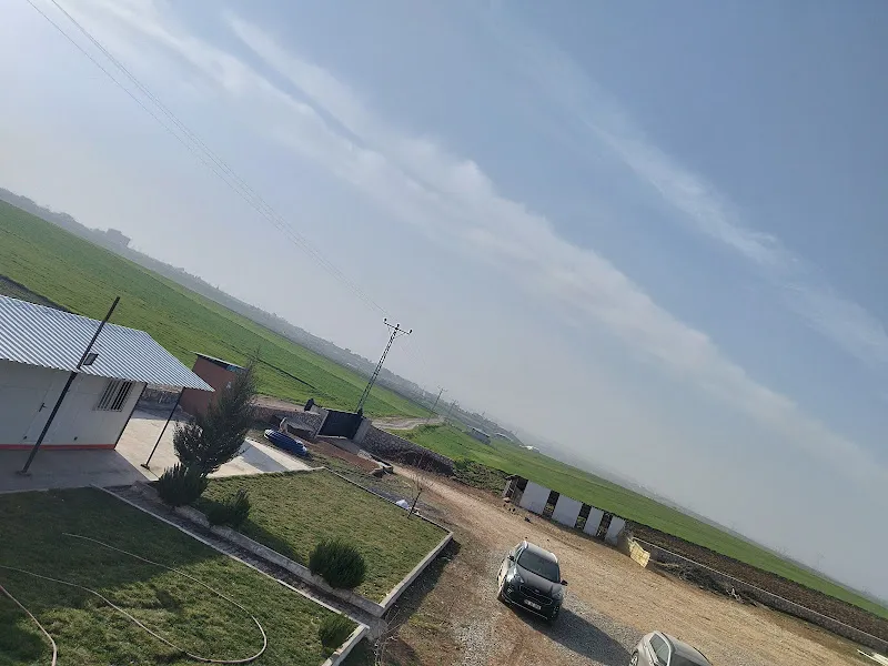 GÜRSOY TARIM ve HAYVANCILIK foto 2