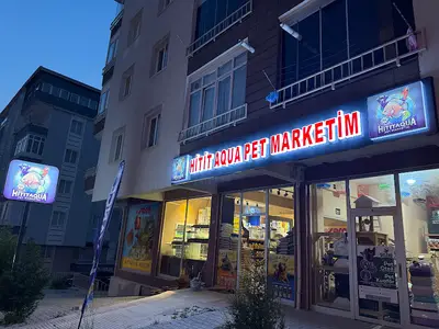 D'Aqua PETSHOP