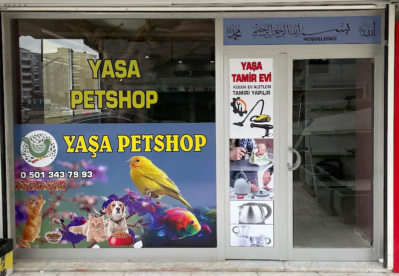 Yaşapetshop ve tamirevi foto 1