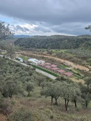 Germencik Belediyesi Sokak Hayvanları Bakım Evi ve Rehabilitasyon Merkezi