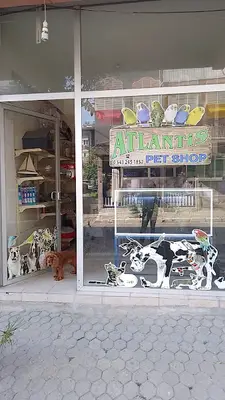 ATLANTİS PETSHOP YENİPAZAR/AYDIN 🐶🦜🐟🐬🐈‍⬛😻🐱🇹🇷
