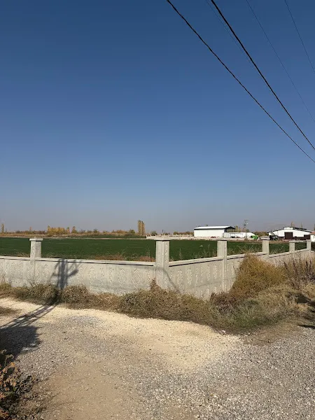 Miss Tarım Hayvancılık foto 1