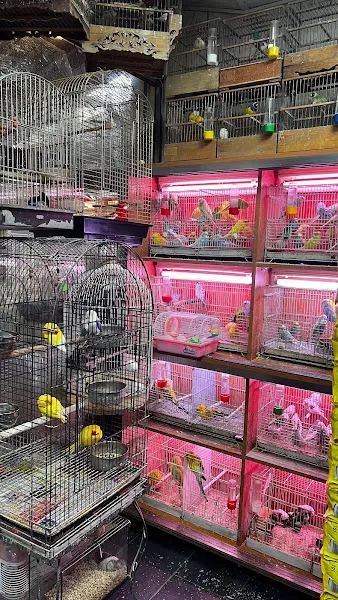 Boğaziçi Akvaryum & Pet Shop foto 2