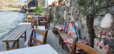 Kedi Bozcaada