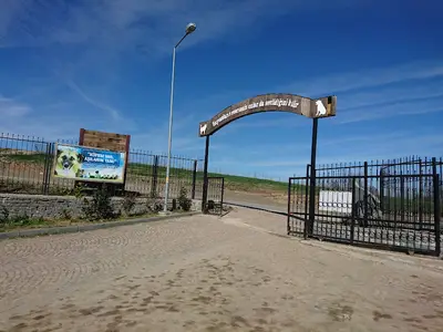 Kedi Kasabası Samsun Büyükşehir belediyesi