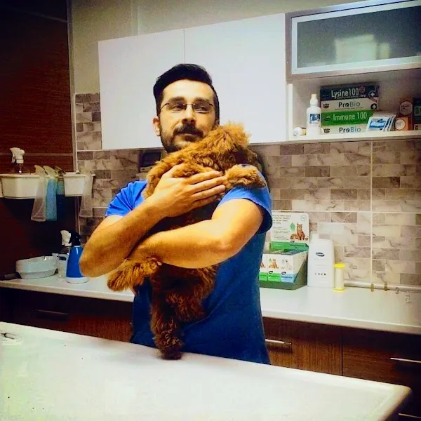 Alaçatı Pegasos Veteriner foto 2