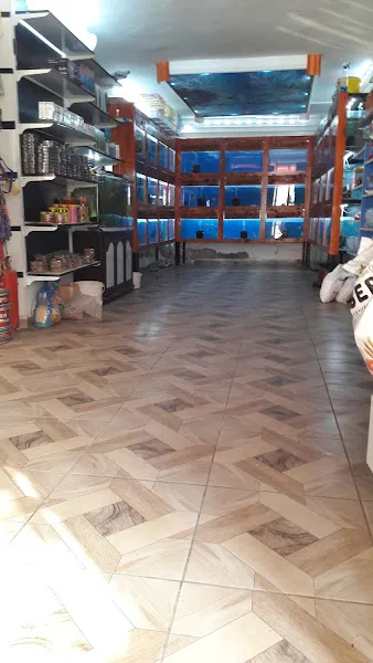 CEM AKVARYUM KUŞ EVİ foto 2