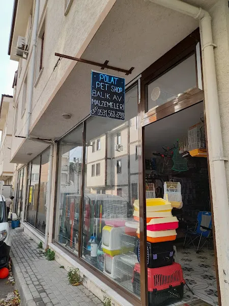 Polat Balık & Kuş Galerisi foto 2