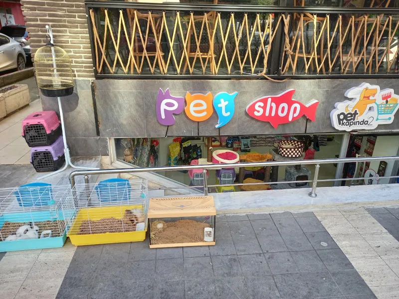 pet shop petkapında 2 foto 2