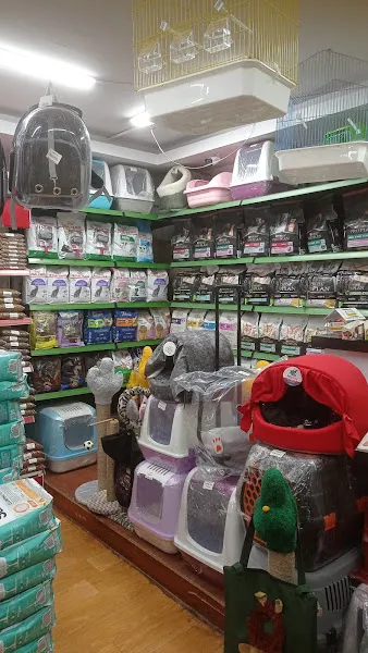 Vizyon Petshop foto 2