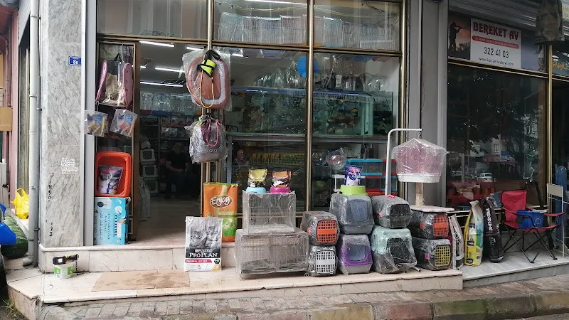 Cadde Akvaryum Petshop izmit foto 2