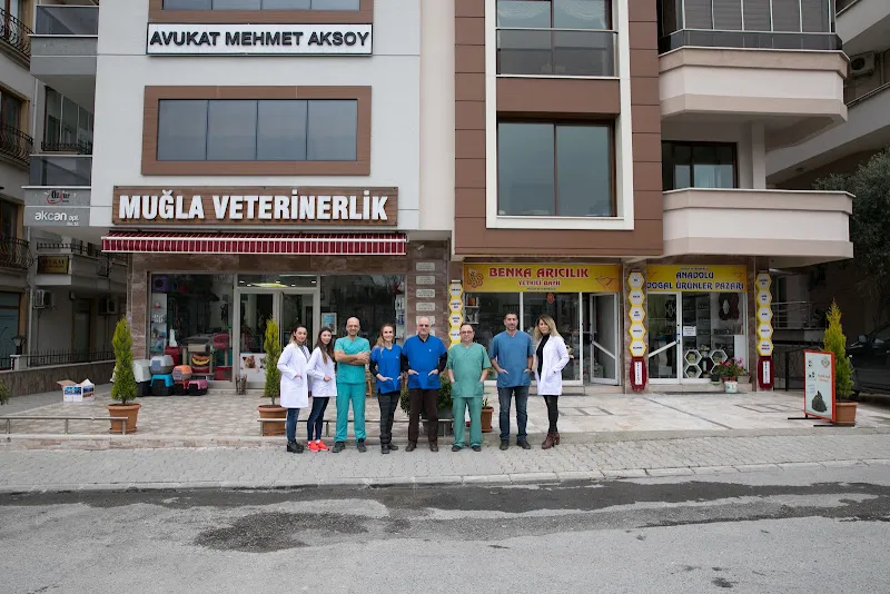 Memleket Veteriner Kliniği foto 2