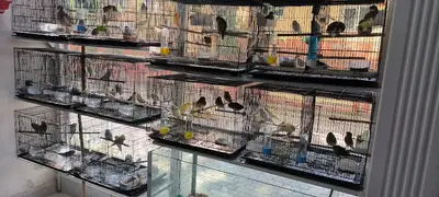 DOĞAN PETSHOP