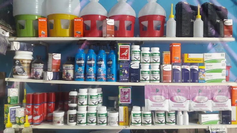ACAR PET SHOP foto 2