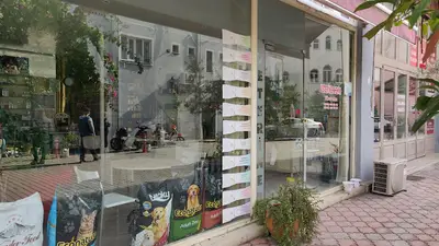 VETERİNER HEKİM