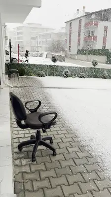 Örnek veteriner Kliniği