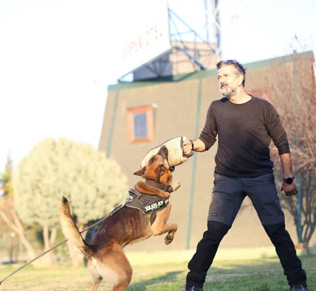 Şefik Özkul Köpek Eğitimi foto 1