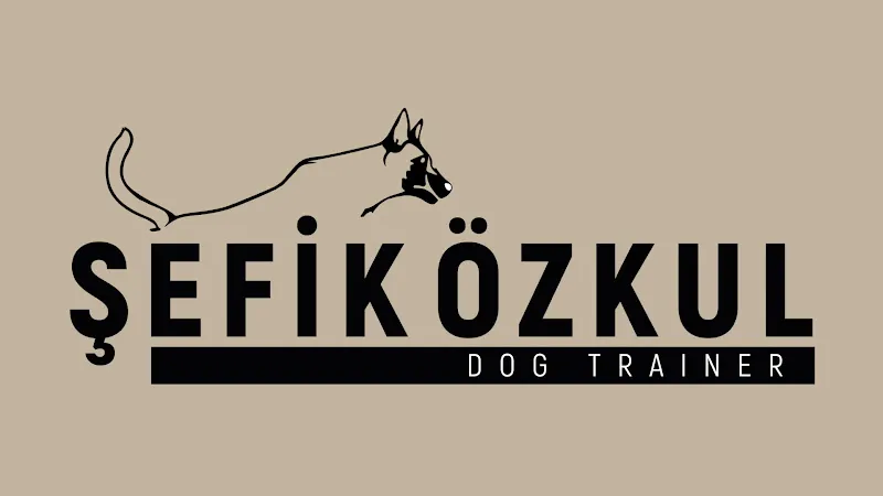 Şefik Özkul Köpek Eğitimi foto 2