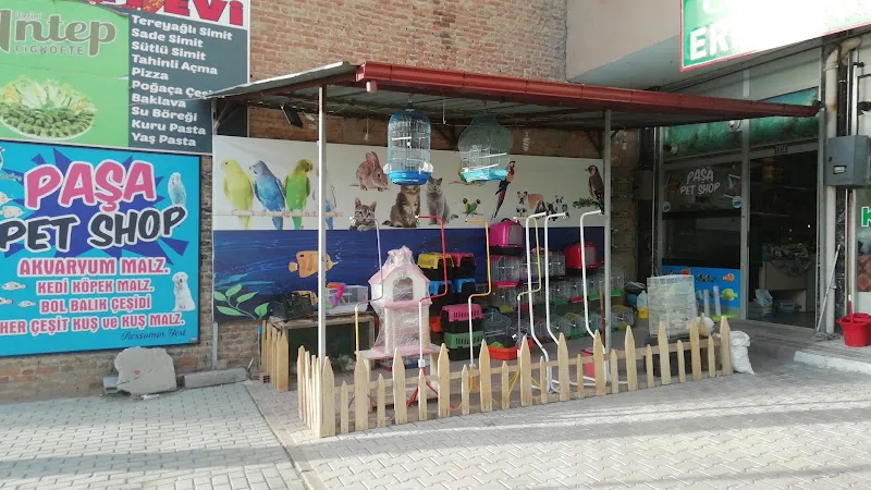 PAŞA PETSHOP foto 2