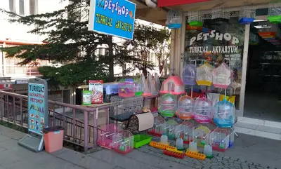 Akşehir Turkuaz Akvaryum & Pet Shop