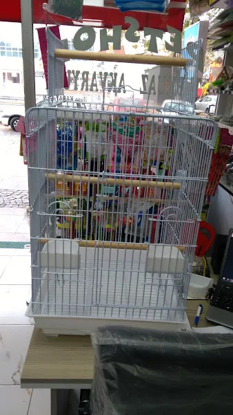 Akşehir Turkuaz Akvaryum & Pet Shop foto 2
