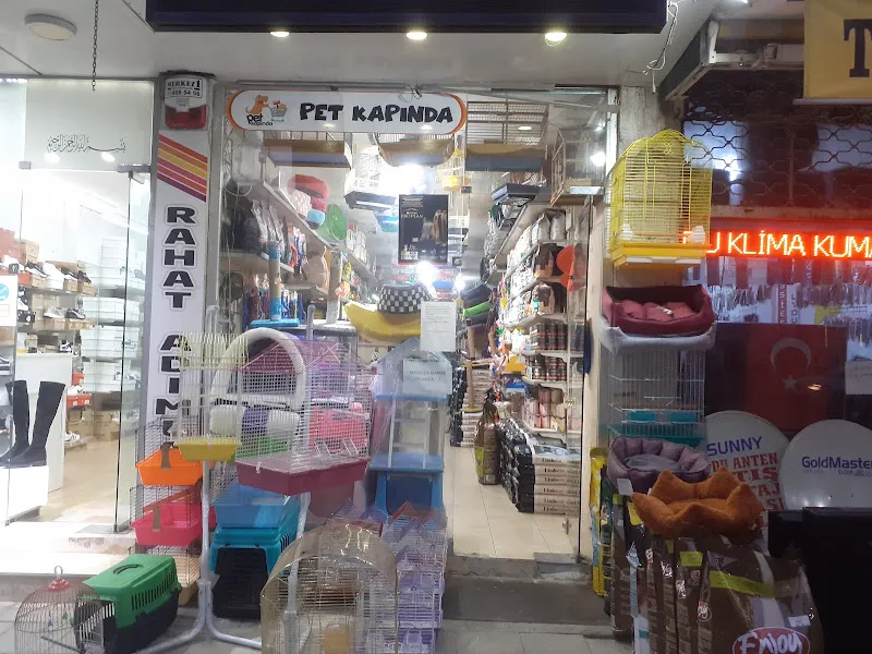Pet Kapında foto 2