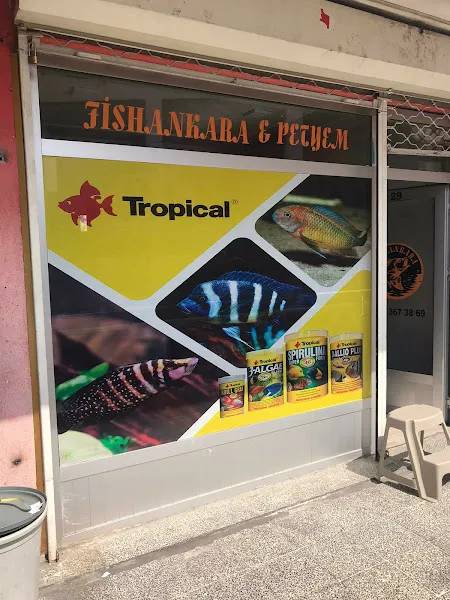 batıkent petshop fishankara&petyem foto 1