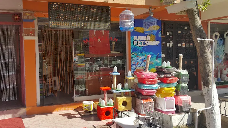 Çulfa Petshop foto 1