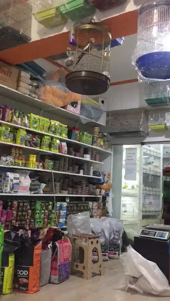 Çulfa Petshop foto 2