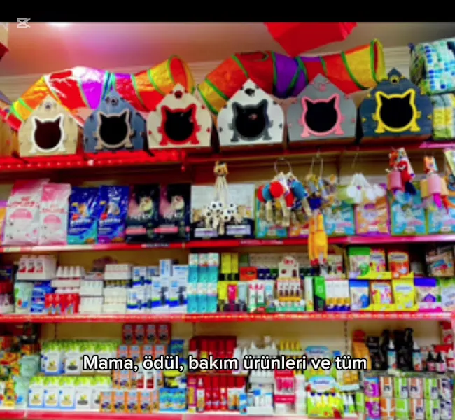 Petshop foto 1