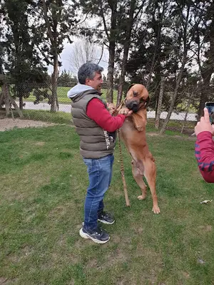 Fırat Köpek Eğitim Merkezi fotoğrafı