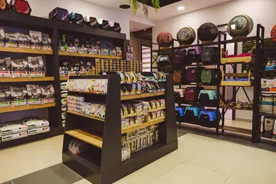 Patifun fotoğrafı
