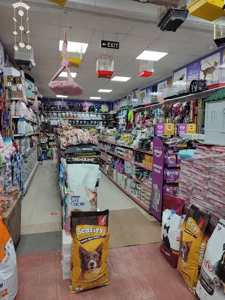 Pati petshop Yenikent foto 2