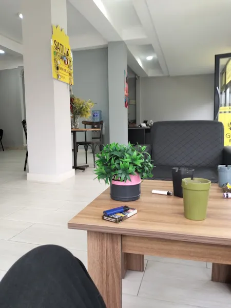 pınar pet kuaför foto 2