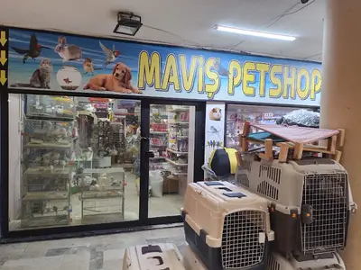 Mavişim Petshop