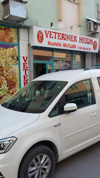 Veteriner Hekim Mustafa Mutluer foto 2