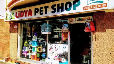 Lidya Petshop