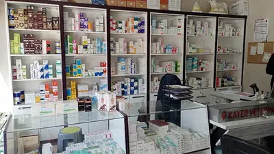Kayer Veteriner Hizmetleri Tarım Hayvancılık