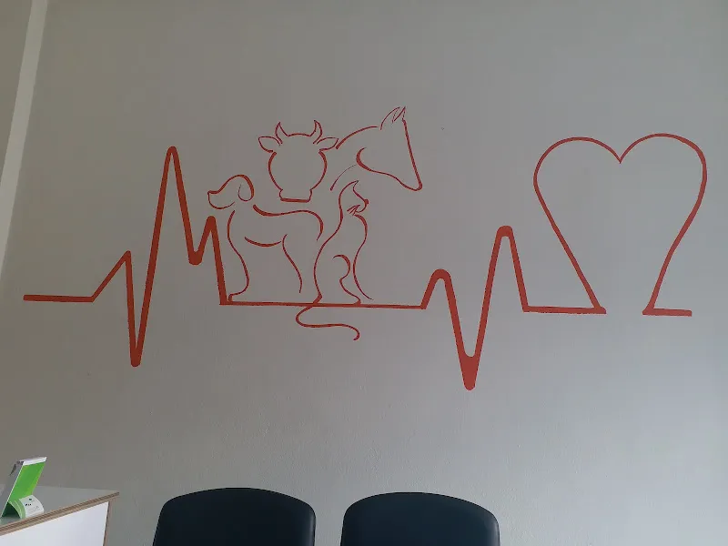 Karapınar Örnek Veteriner kliniği foto 2