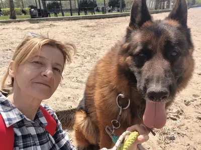 Pozitive Dog Training /Kocaeli Köpek Eğitimi
