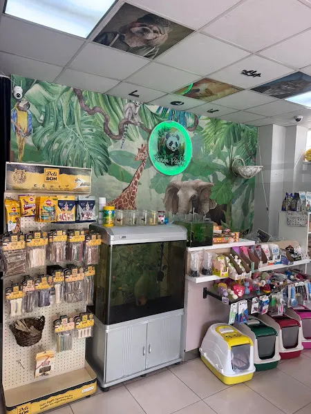 panda petshop foto 2