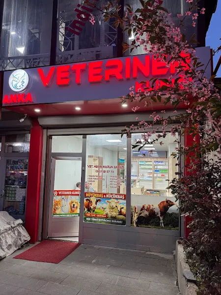 ŞEMDİNLİ ANKA VETERİNER KLİNİĞİ foto 1