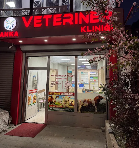 ŞEMDİNLİ ANKA VETERİNER KLİNİĞİ foto 2
