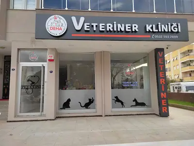 Veteriner Hekim İsmail Çalhan