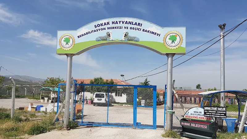 özdemir mandıra foto 1