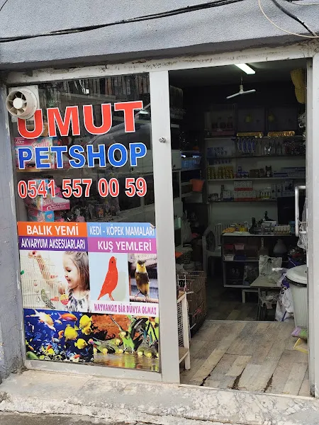 UmutPetShop foto 1