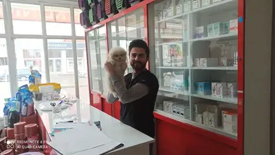 vetviews