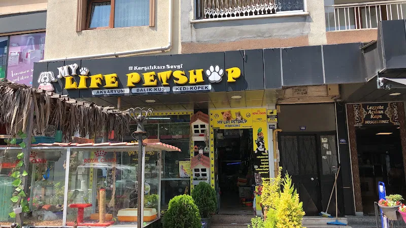 DERYA PETSHOP foto 2