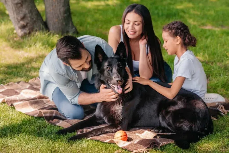 Köpek Eğitim Enstitüsü foto 1