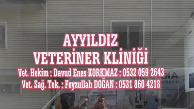 evcil hayvan bakımı